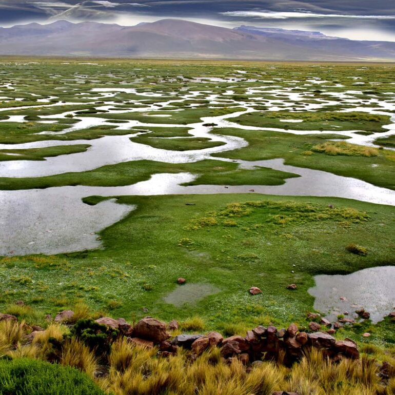 Altiplano