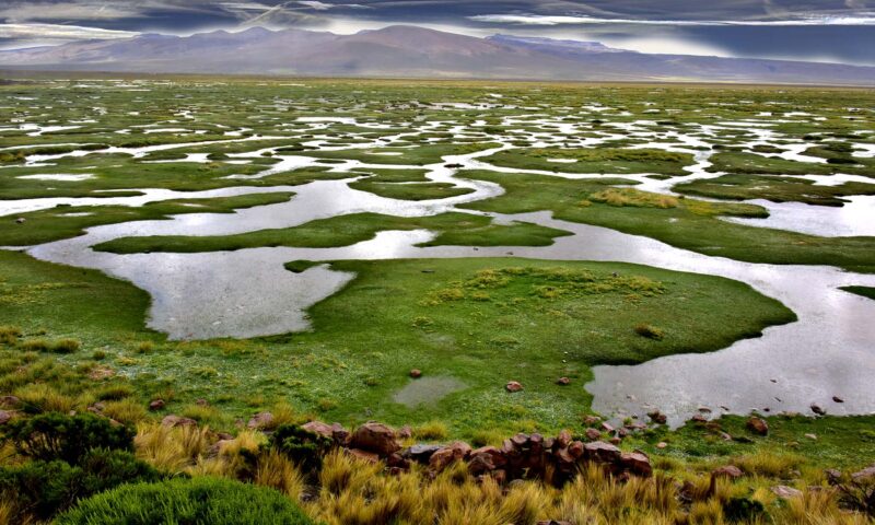 Altiplano