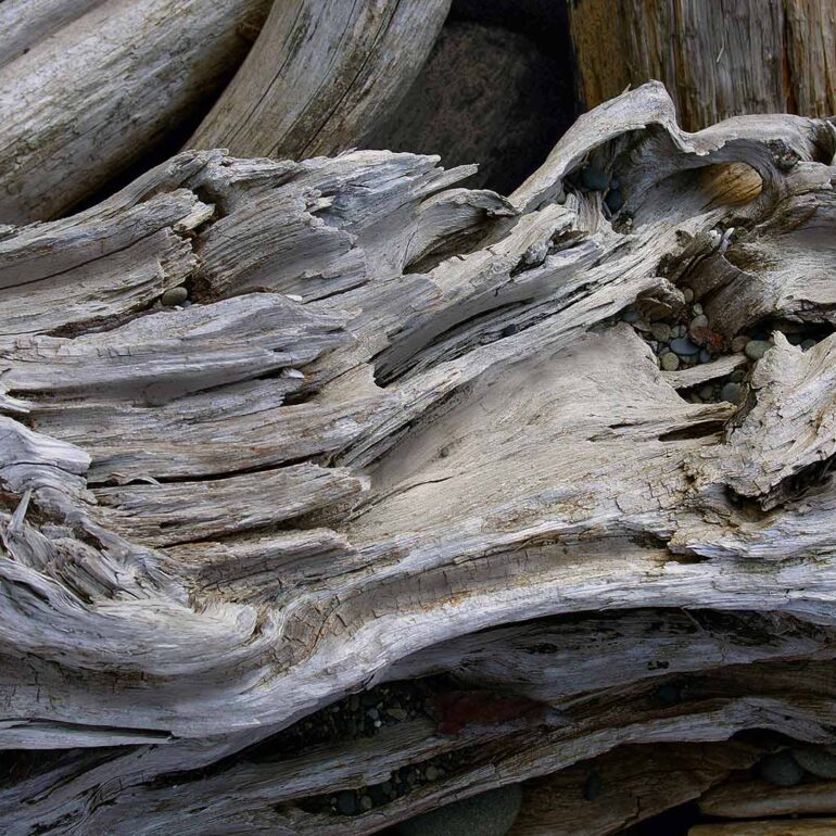 Driftwood