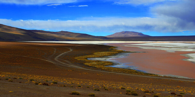 Laguna Colorada