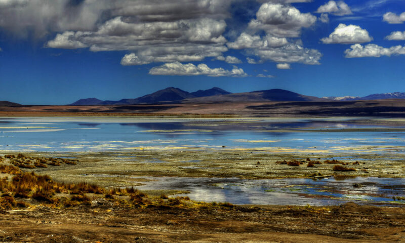 Laguna Salada